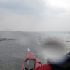 seal off stern at hilbre